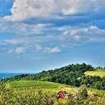 Carter Mountain Orchard and Country Store