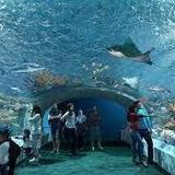 New England Aquarium