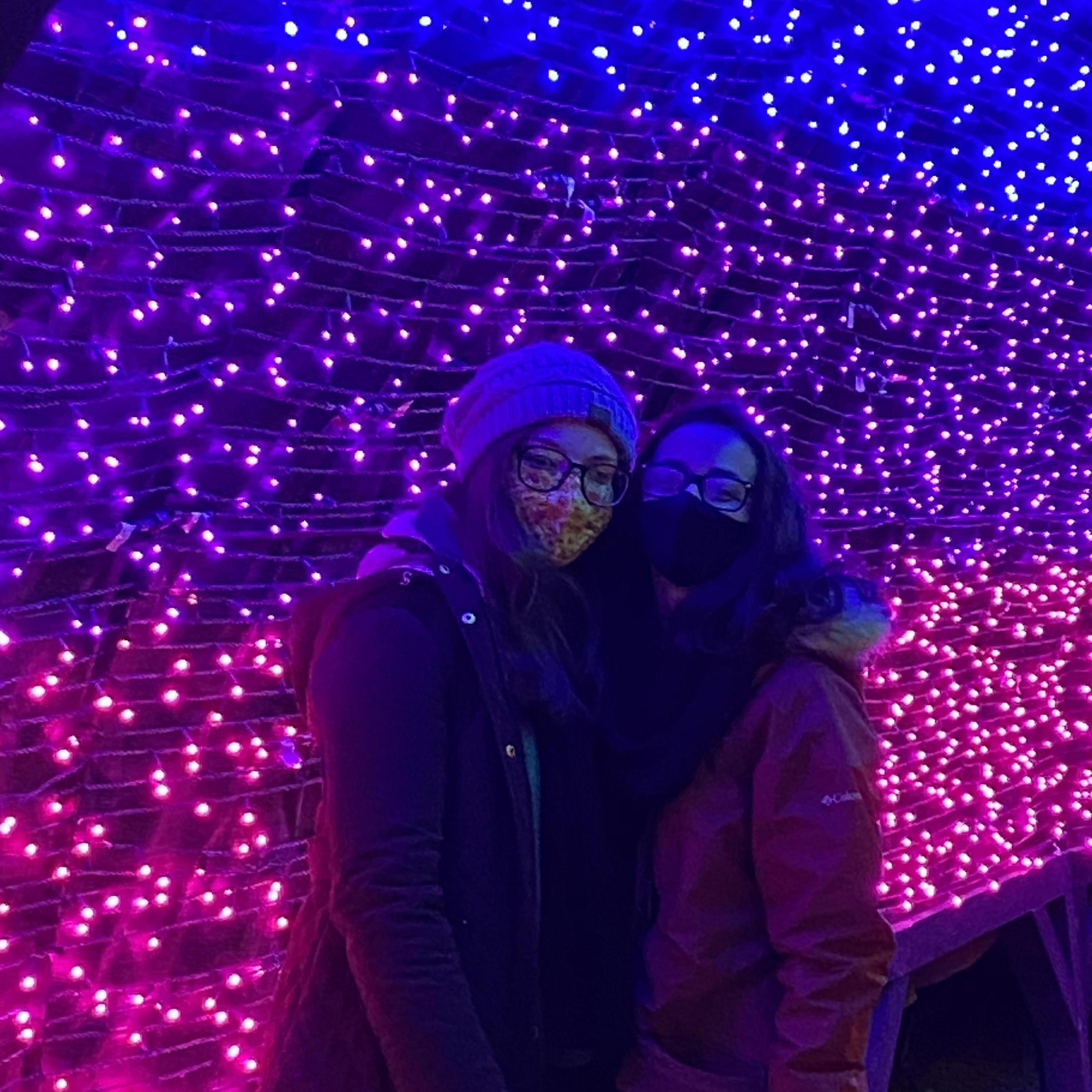 Elmwood Park Zoo with the colors of the Bi Pride Flag behind them