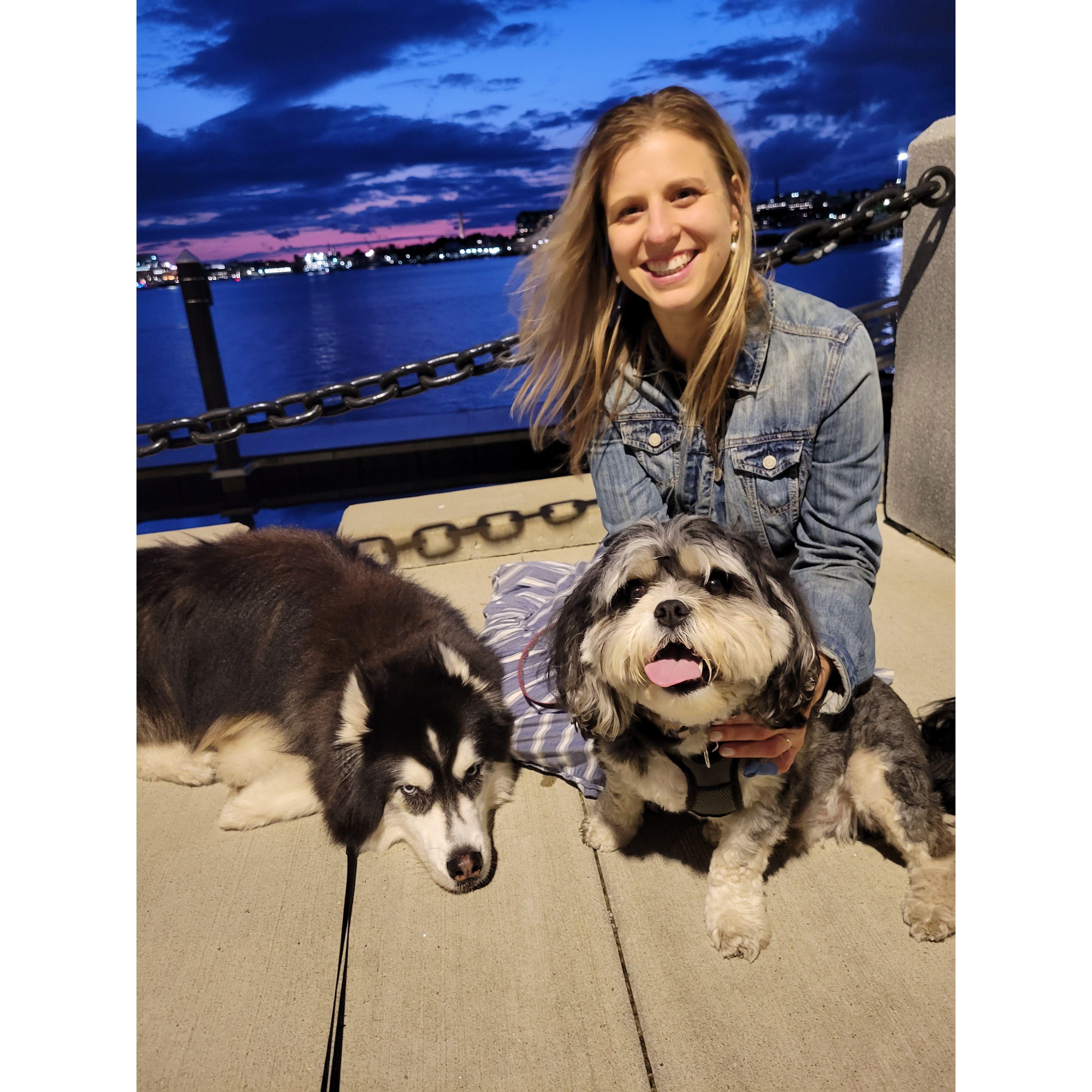Dog walks through East Boston with Kai & Sammy