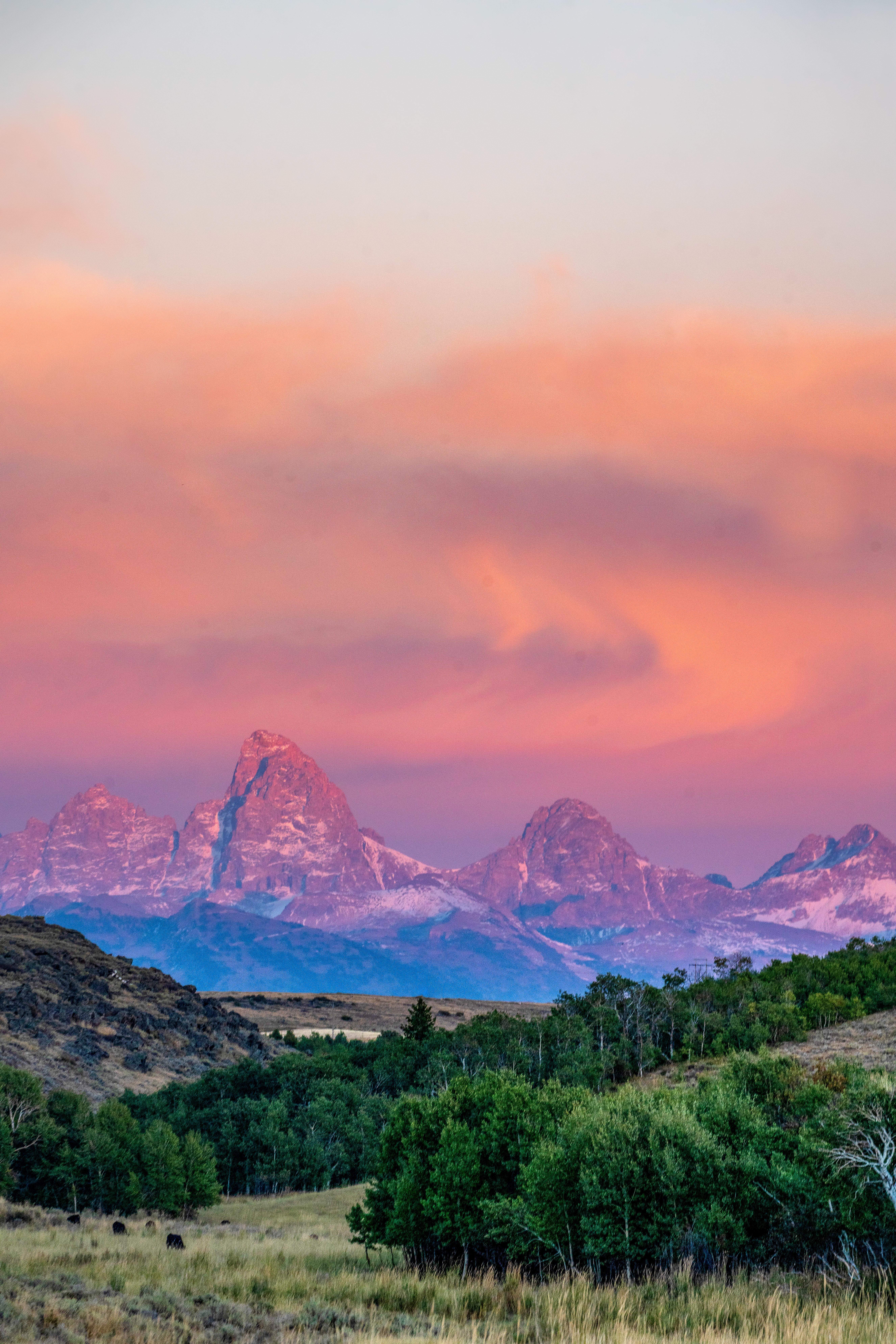 The Wedding Website of Della Frederickson and Timmy Watters