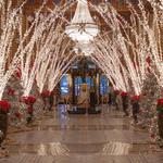 The Roosevelt New Orleans, A Waldorf Astoria Hotel