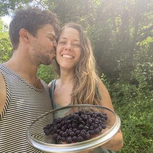 Blackberry Bushes