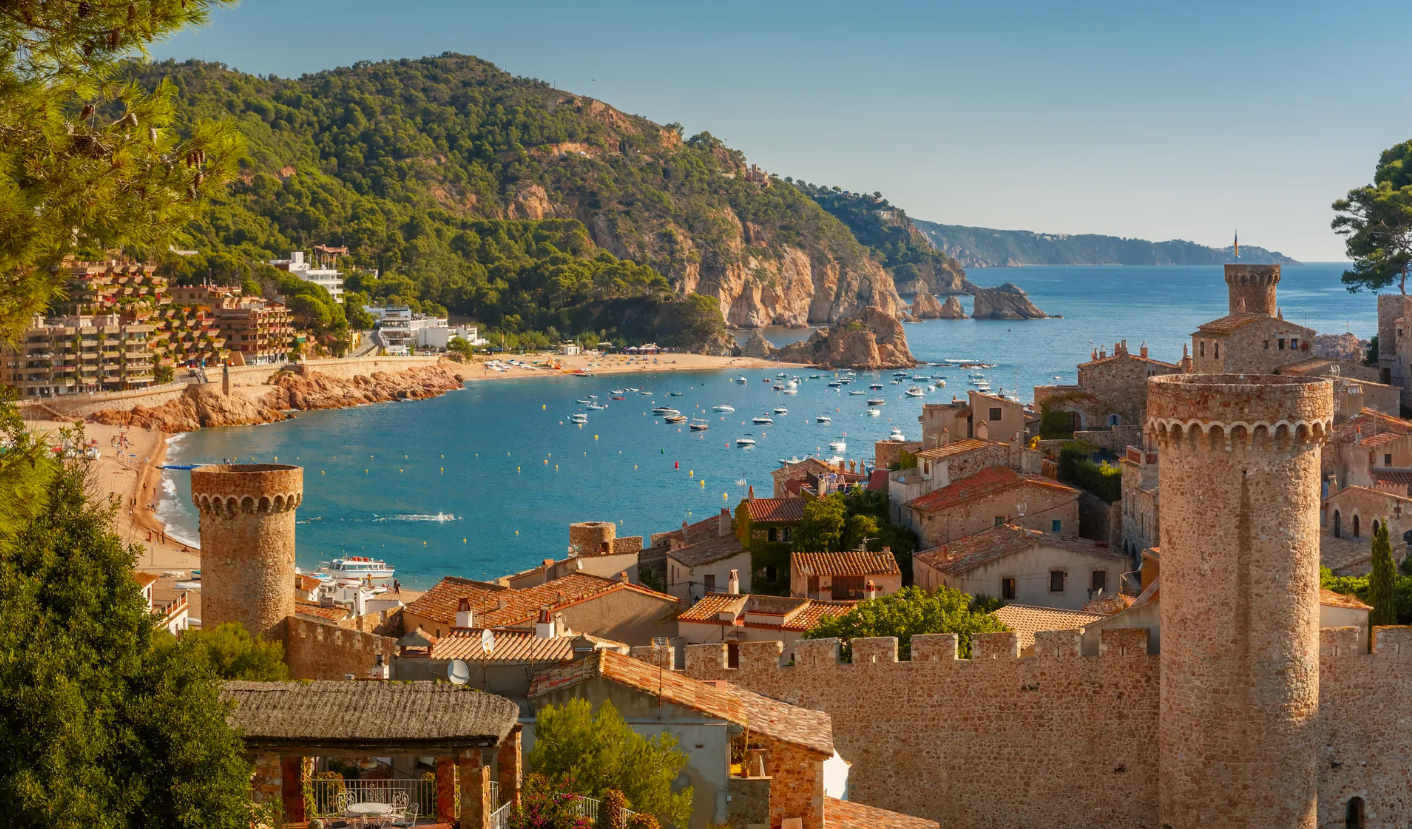 55d98d9f-18ca-4831-9c0d-65aac19e91fc