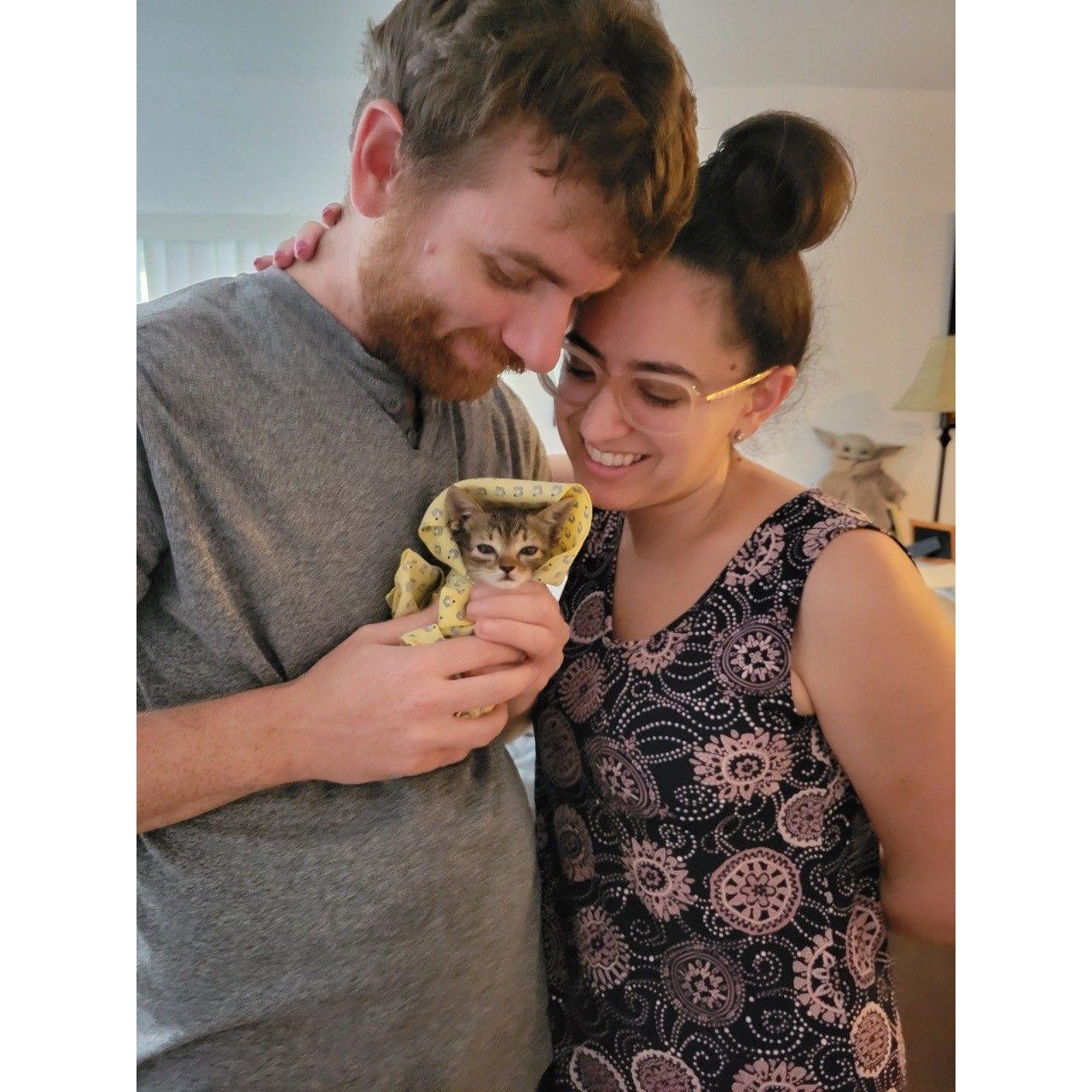 Our baby kitten, Lumi.