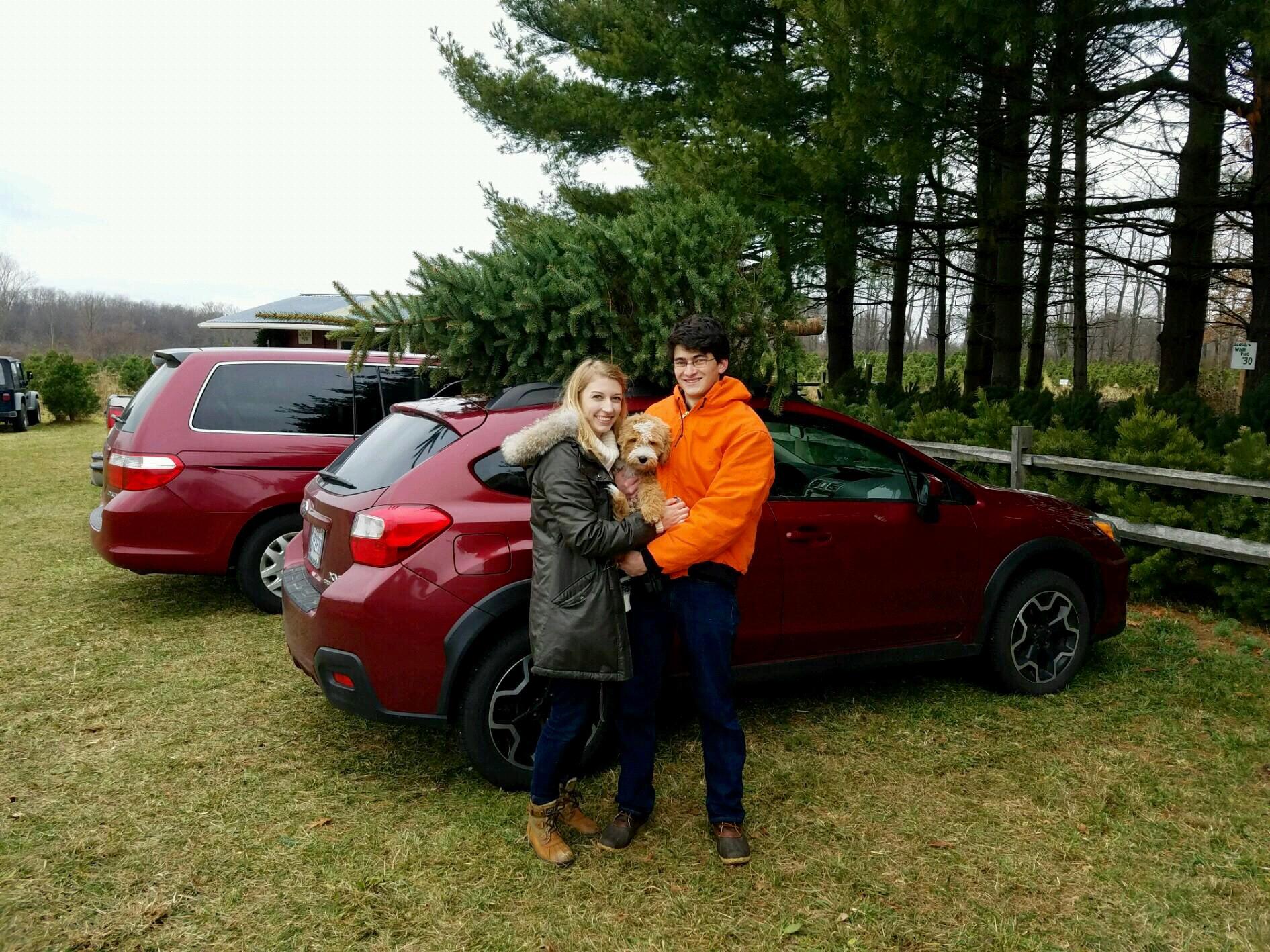 First Christmas living together, Sara adopts Nick’s tradition of a live tree.