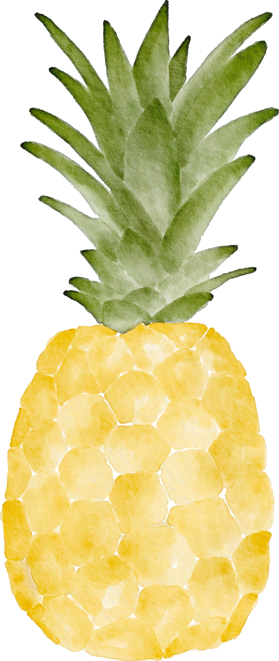 The Wedding Website of Jennifer Horne and Andrew Chadbourne