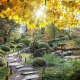 University of Minnesota Landscape Arboretum
