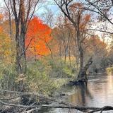 Love Creek Nature Center