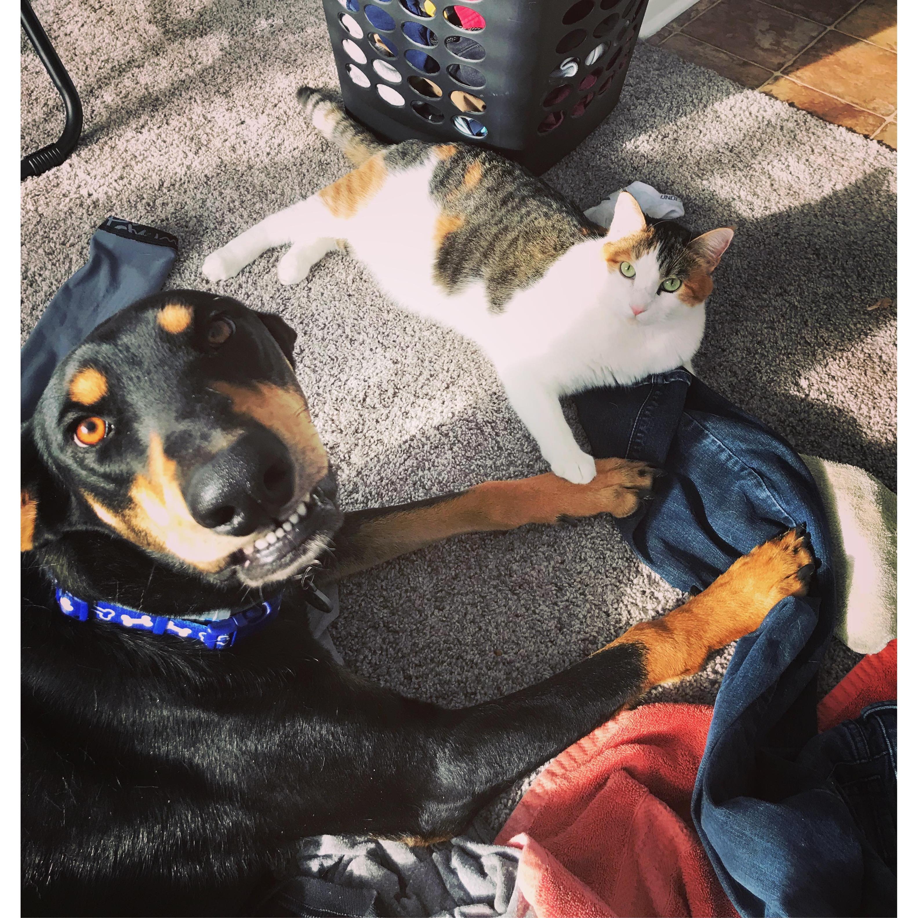 Rizzo + Leonard