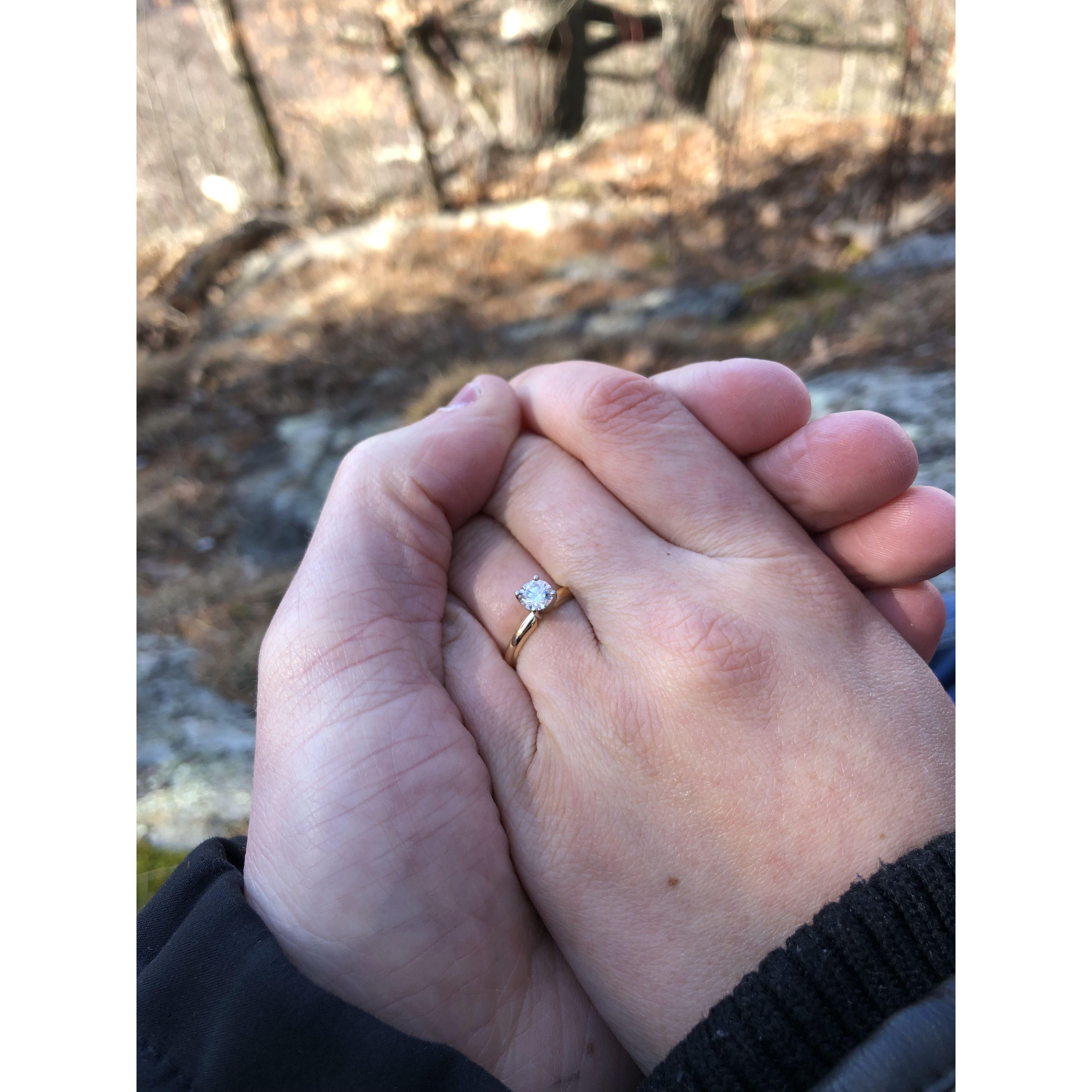 Holding hands for the first time as fiancés :)