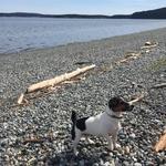 Fourth of July Beach