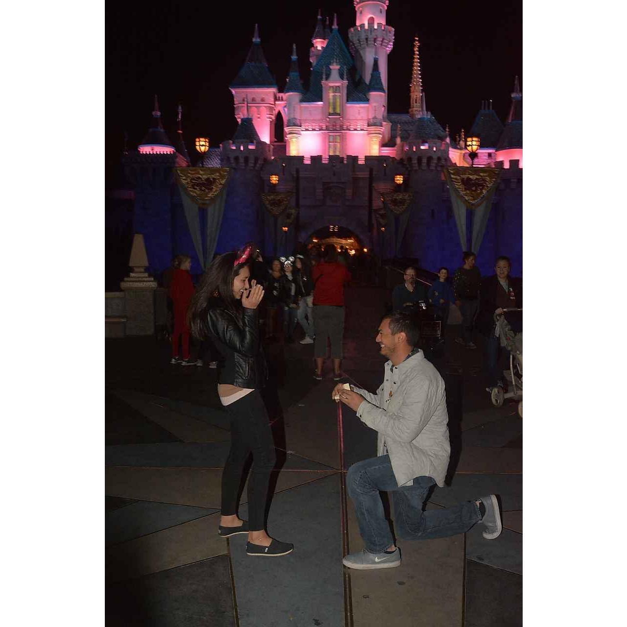 The Proposal