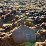 Gratiot River County Park