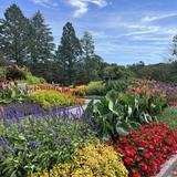 Arboretum