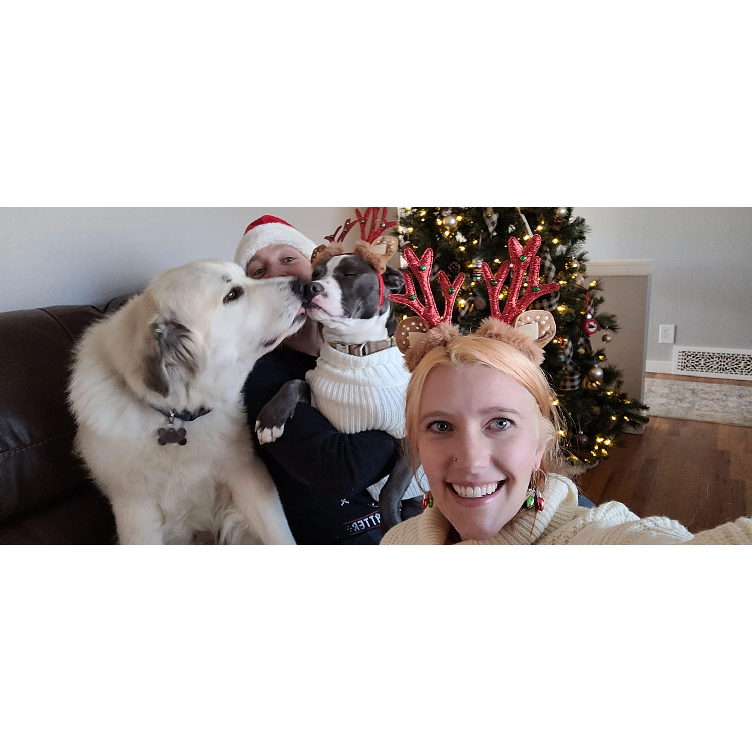 Still trying for that holiday family photo...