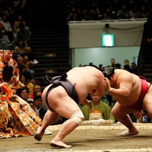 Sumo Wrestling Show w/ Dinner!