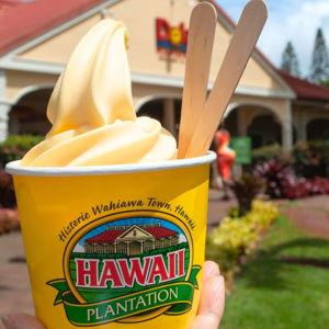 Dole Pineapple Plantation Excursion in Hawaii!