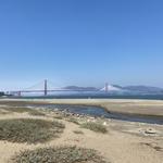 Crissy Field