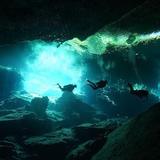 Ronnie's Dive Zone