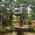 Airlie Gardens
