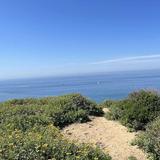 Dana Point Preserve