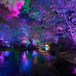 Fort Worth Botanic Garden