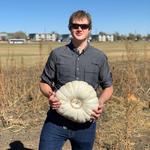 Pumpkin Patches