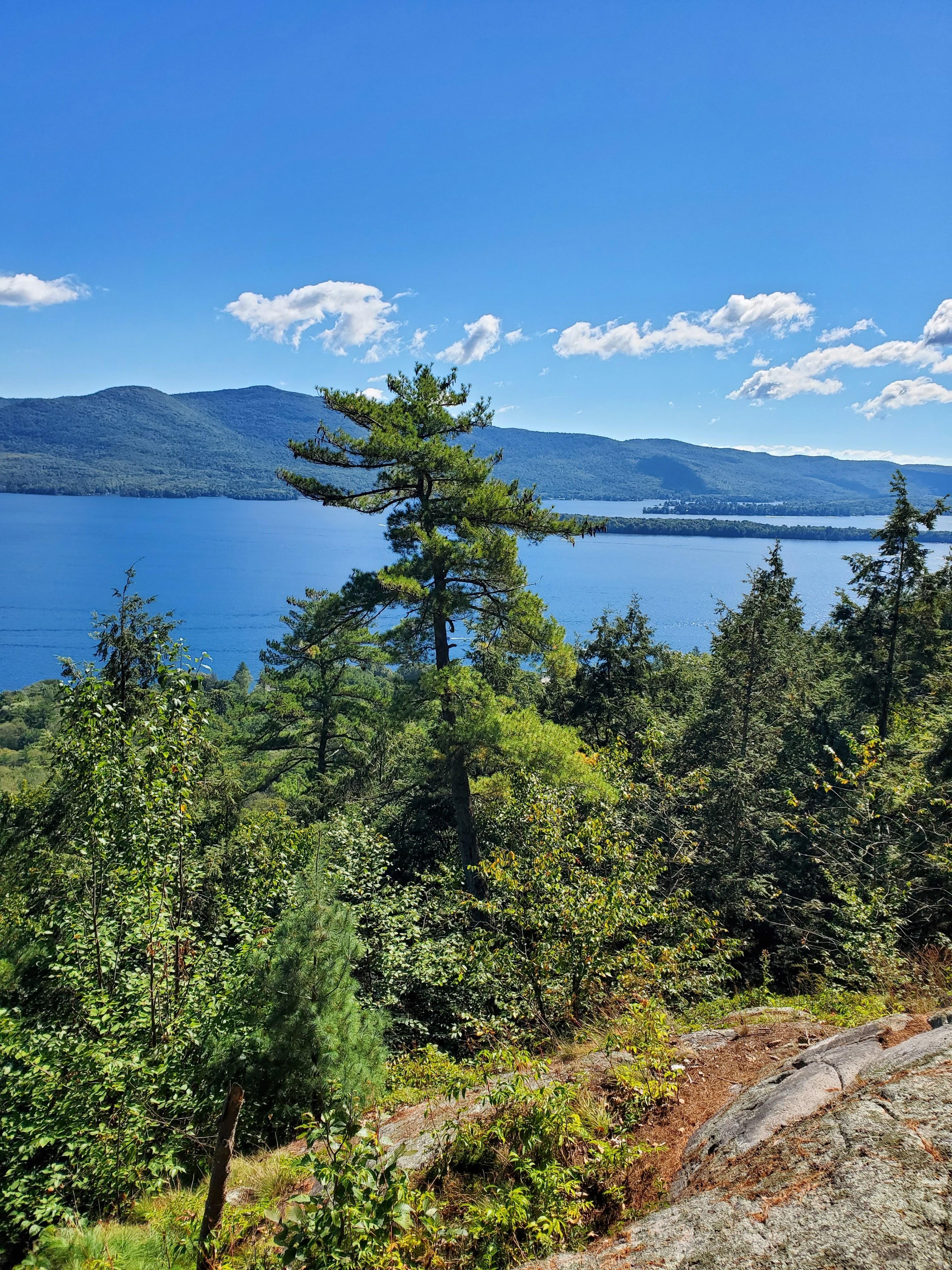 The Wedding Website of Marina Merchant and Andrew Hilliard