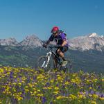 Rent a Bike
