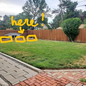 Raised Garden Bed fund