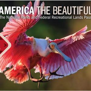 America the Beautiful National Parks Pass