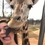 Zootastic Park