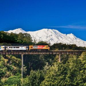 Scenic Cross-Country Train Ride through New Zealand