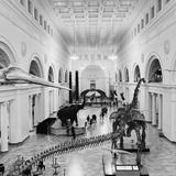 Field Museum