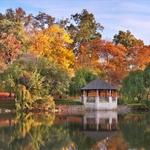 Duck Pond at Virginia Tech