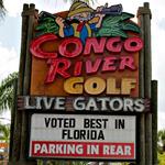 Lots of mini golf!