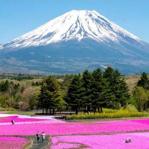 Trip to Mt. Fuji for Two