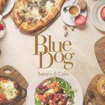 Blue Dog Bakery & Cafe