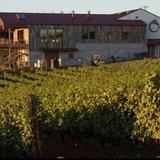 Brooks Wine