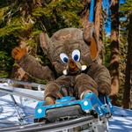 Woolly's Adventure Summit