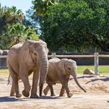 Reid Park Zoo
