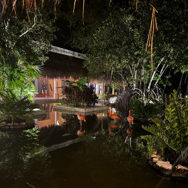 Honeymoon Resort