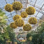 Longwood Gardens