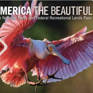 America the Beautiful Annual Park Pass