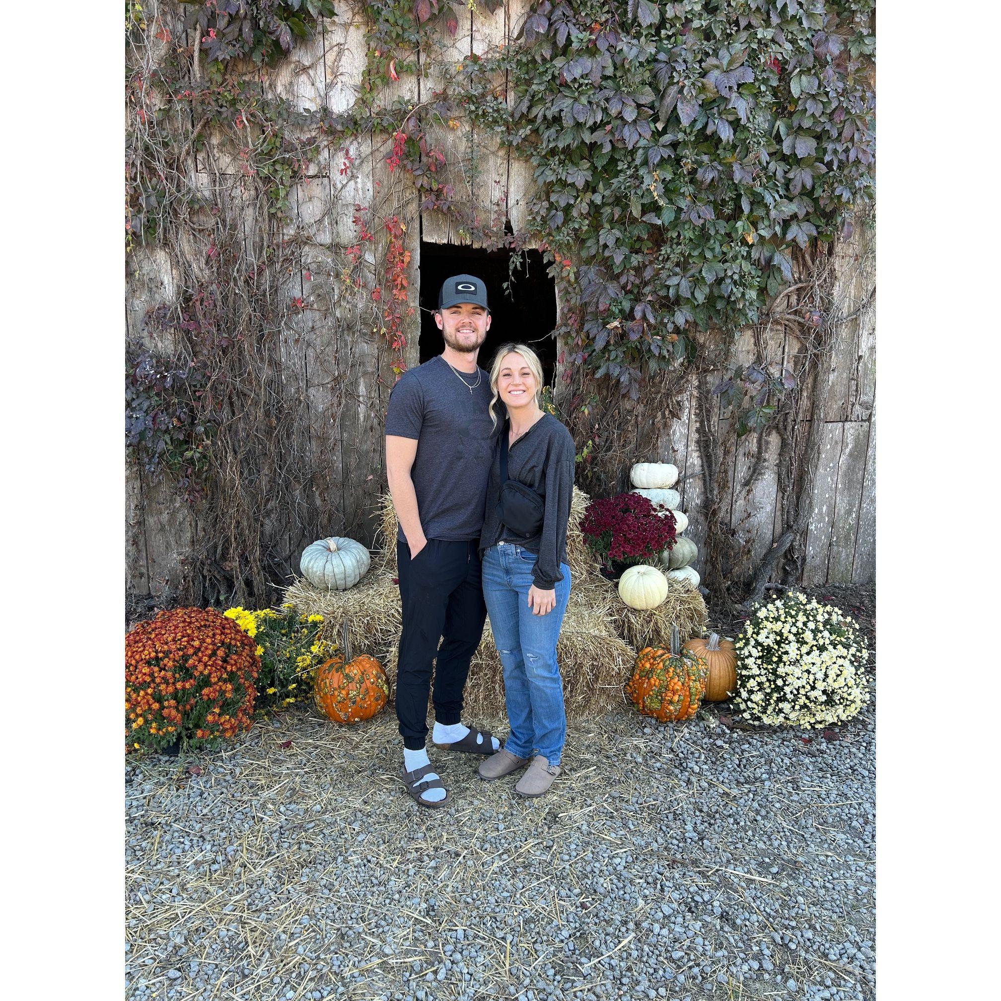 Pumpkin patch