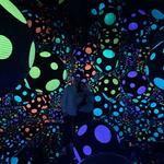 Crystal Bridges Museum of American Art