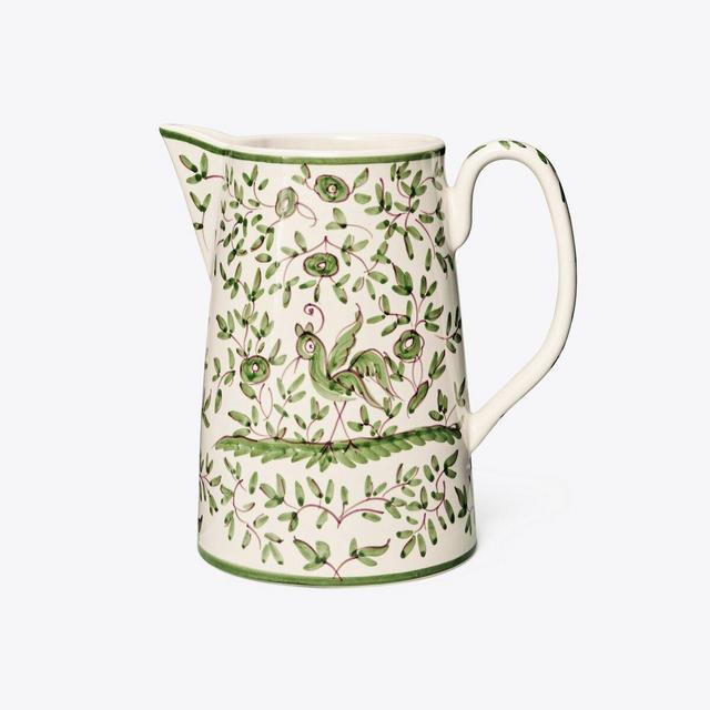 Oiseau Pitcher
