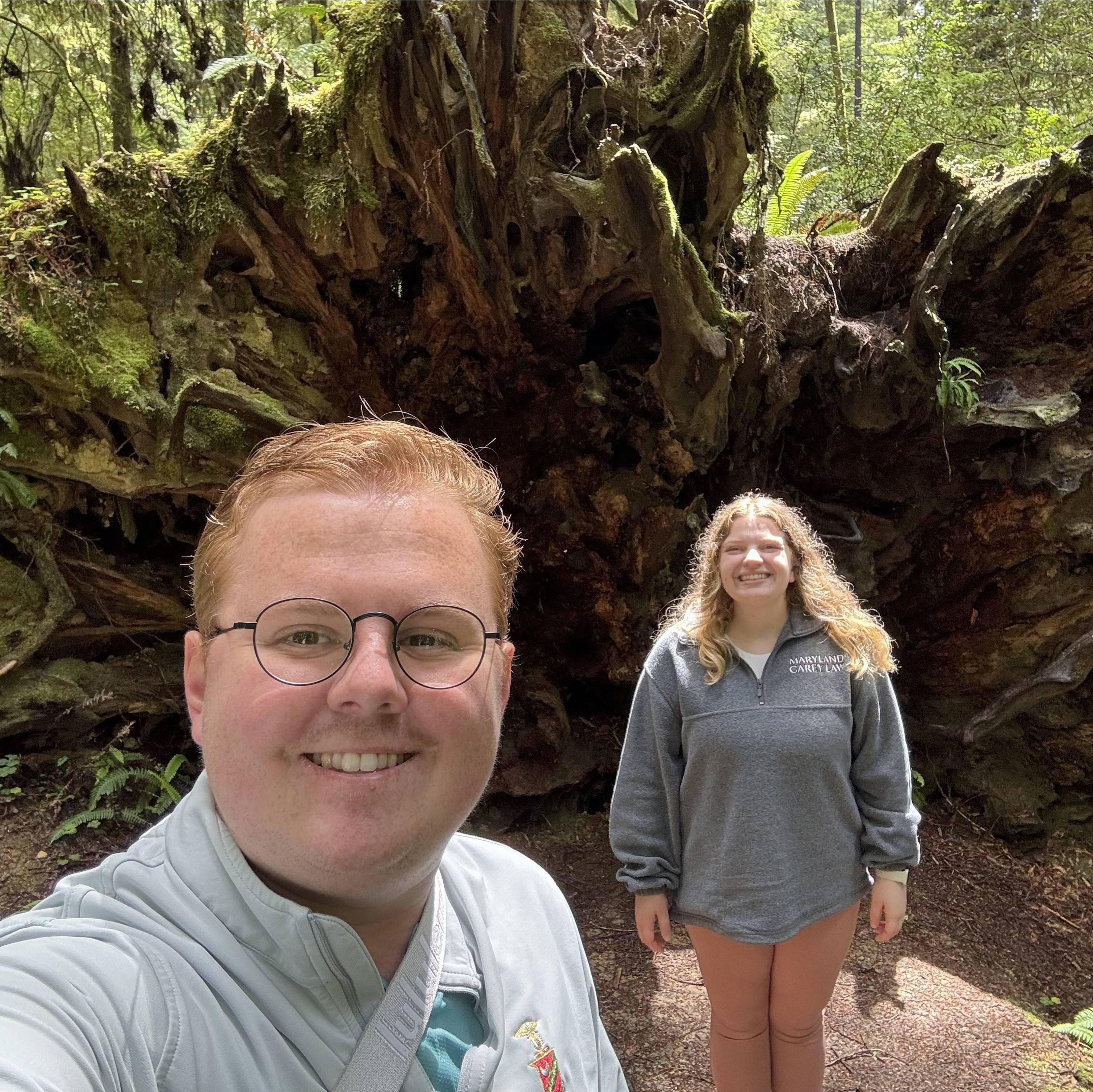 Exploring the Redwoods