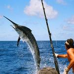 Deep Sea Fishing